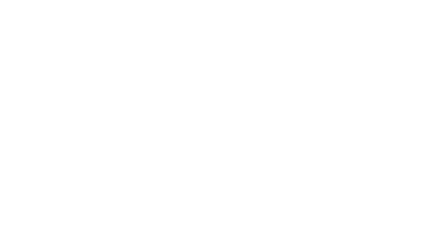 Metrion